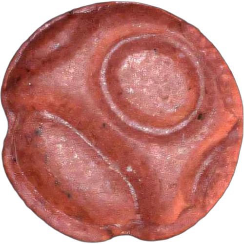 Piolla Mushroom — 2