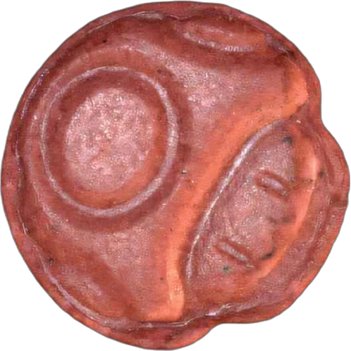 Piolla Mushroom