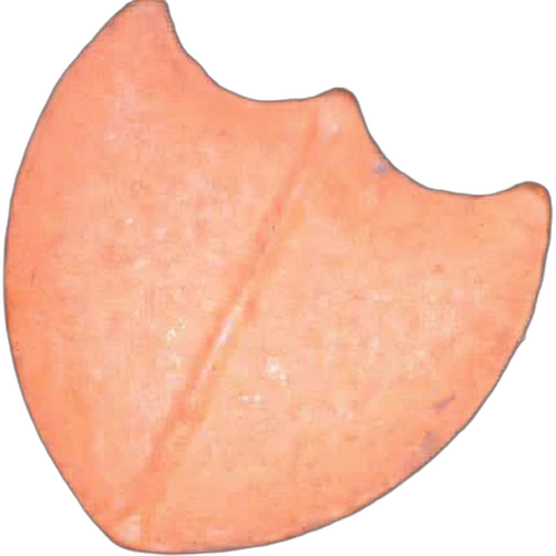 Pillola Dom Perignon Charme D'irene