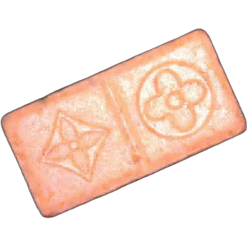 Piolla Louis Vuitton — 2