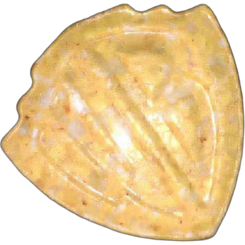 Piolla Warner Bros