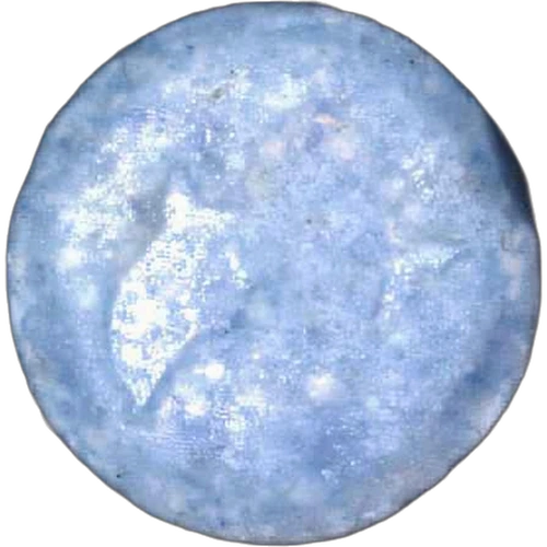 Piolla Delfin