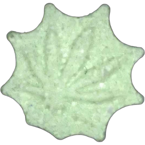 Piolla Hanfblatt, Wie Vorderseite — 2
