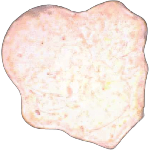 Joshi-pilleri