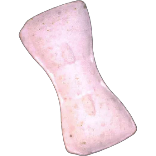 Schleife, Gleich Wie Vorderseite-Pille — 2