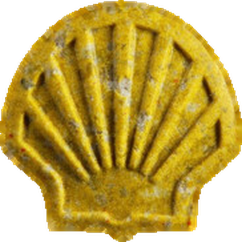 Таблетка Shell