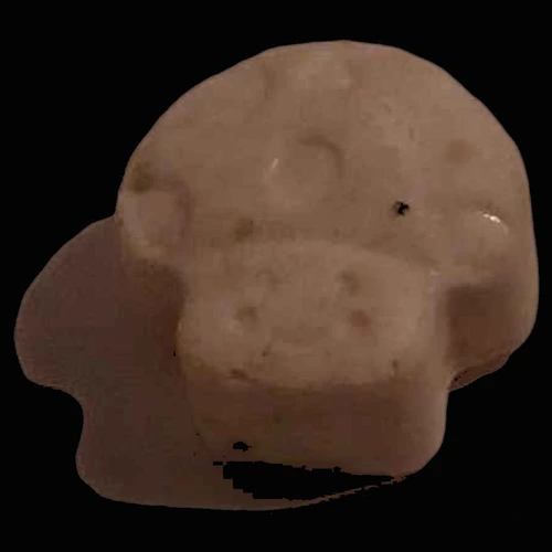 Mushroom hapı