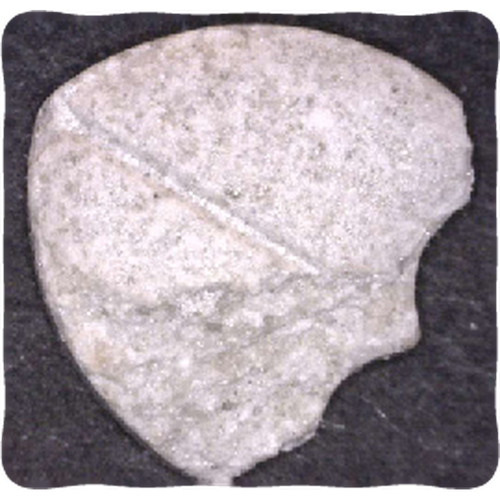Piolla Dom Perignon