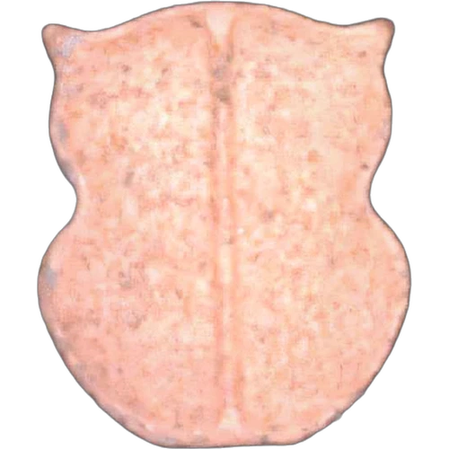 Tableta Owl — 2