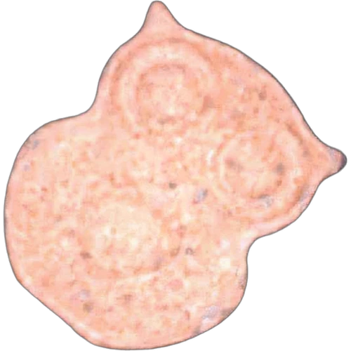 Tableta Owl