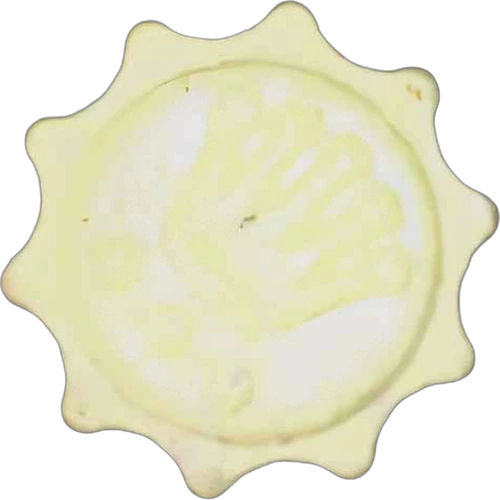 Pillola Rolex