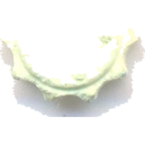 Pillola Rolex — 2