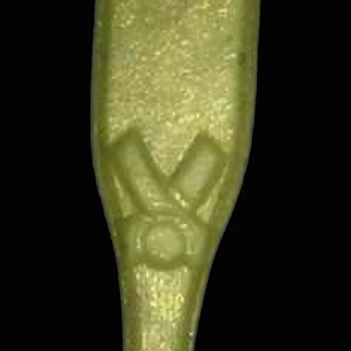 2C-B (16mg)-pilleri
