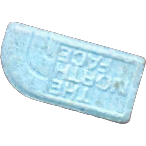Piolla The_northface — 2