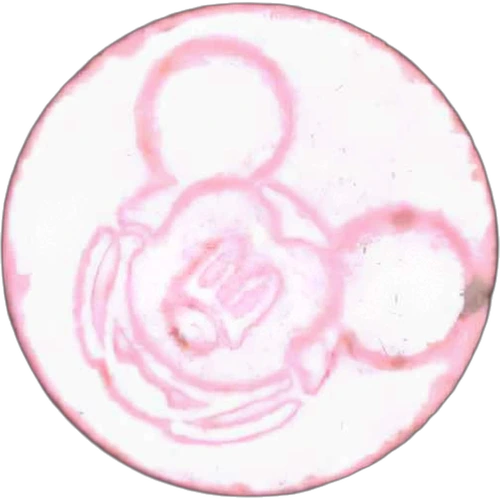 Mickey Mouse-pilla