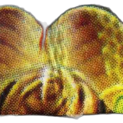 Piolla LSD (277ug)
