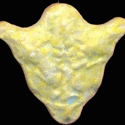Pillola MDMA (262mg)