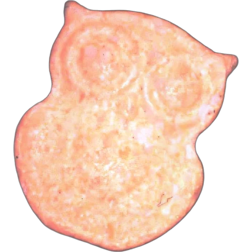 Owl-pilleri