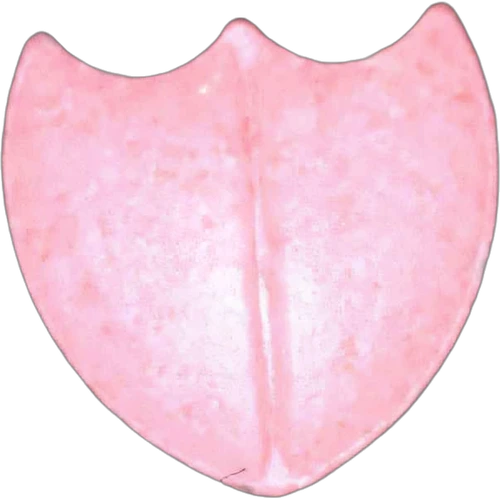 Tableta Dom Perignon Charme D'irene — 2