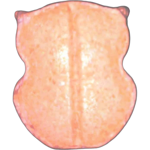 Piolla Owl — 2