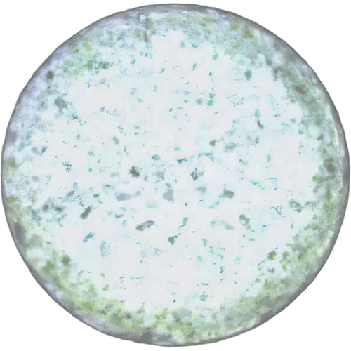 Pastilla On Button — 2