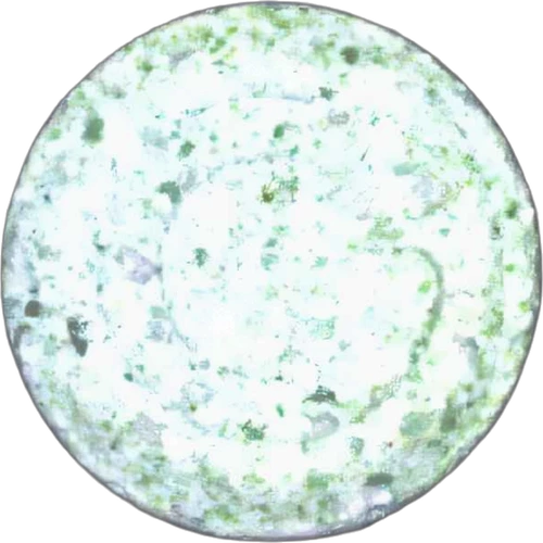 Pastilla On Button