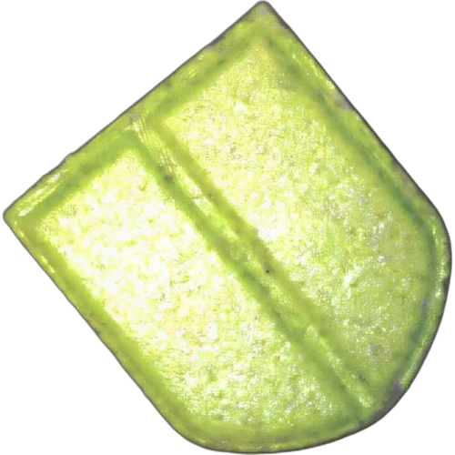 Tableta Ss — 2