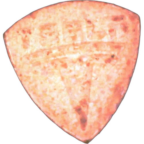 Piolla Tesla