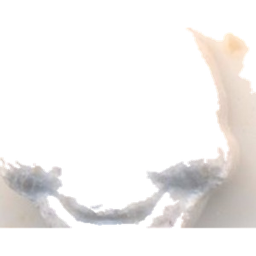 Tabletė Saw