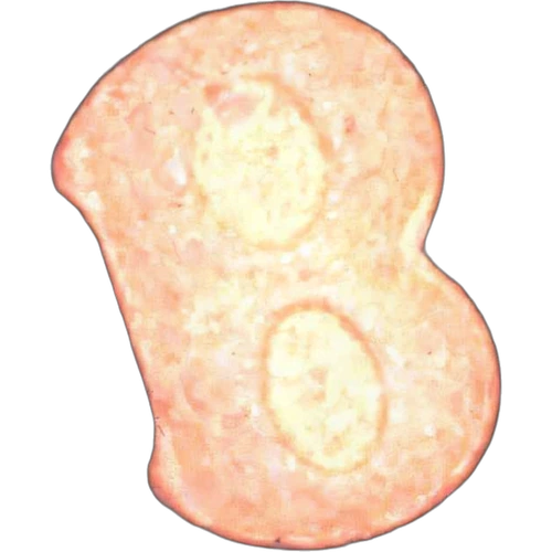 Piolla Bentley — 2