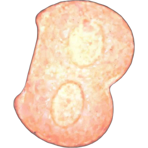 Piolla Bentley