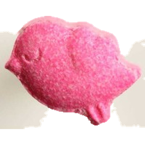Piolla Bird