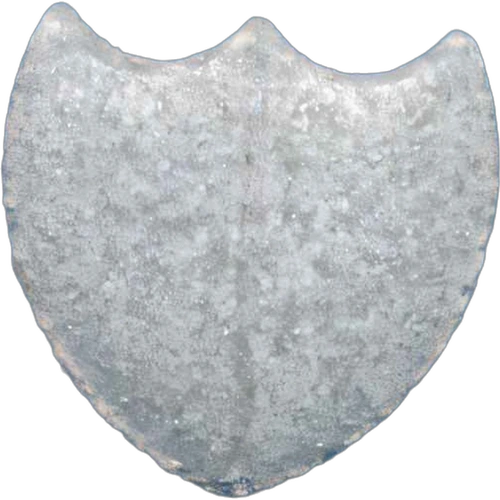 حبّة Botella De Champagne — 2