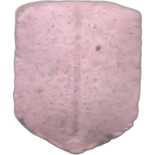 UPS-pille — 2