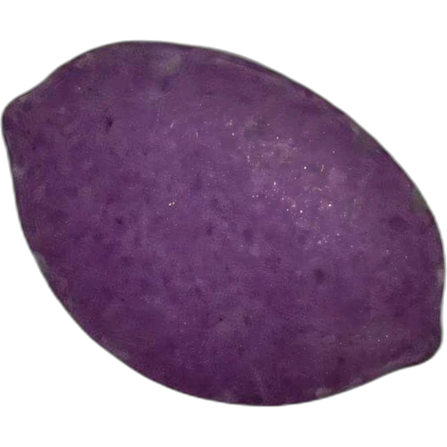 Piolla Stewie — 2