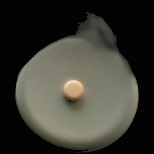 Pillola Manitol