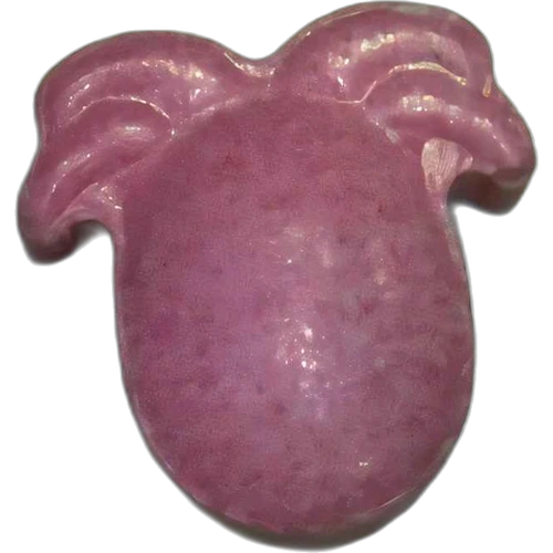 Pillola Pulpo — 2