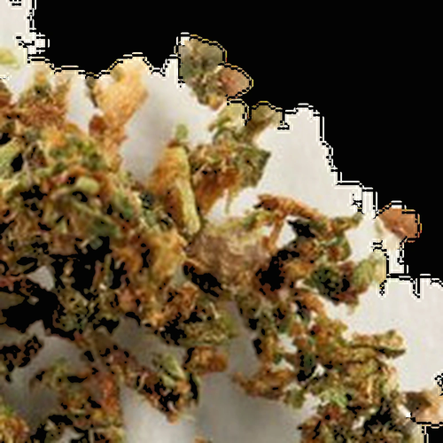 Pillola Crystals