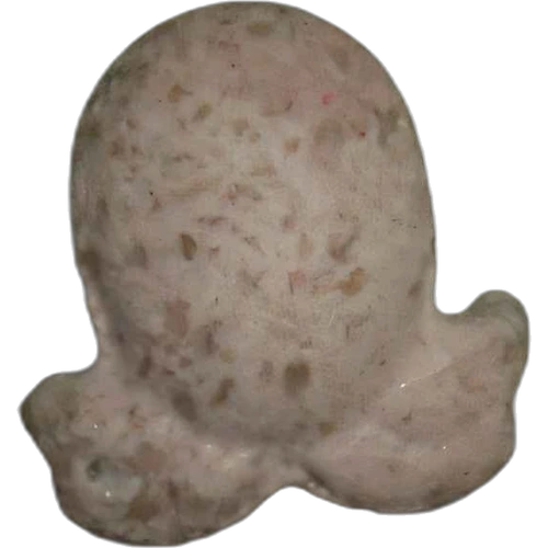 Pillola Pulpo — 2