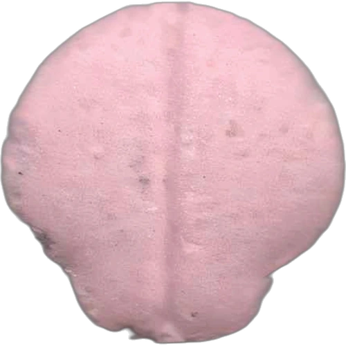 Pillola Mushroom — 2