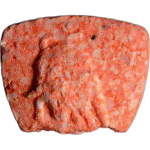 Lamborghini-Pille — 2