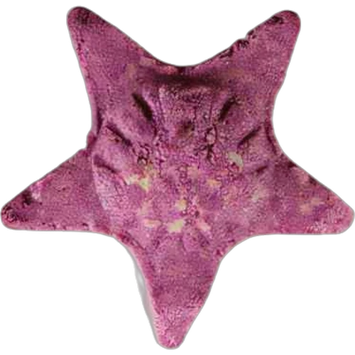 Pillola Star — 2