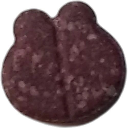 Frog hapı — 2