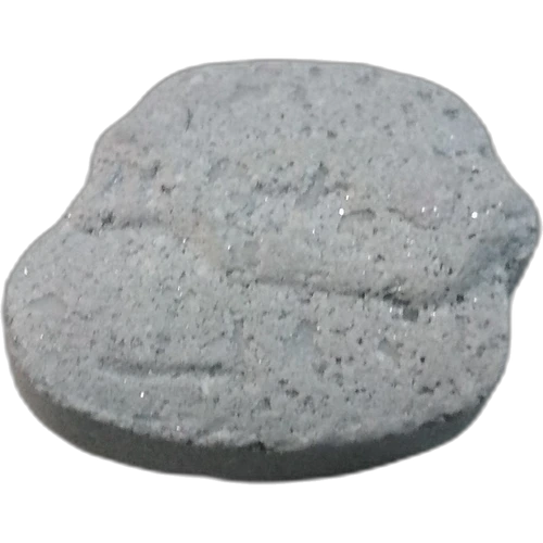 Tortuga-pilleri — 2