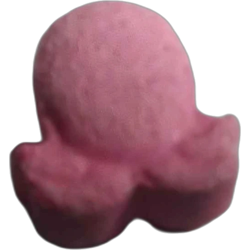 Pillola Pulpo — 2