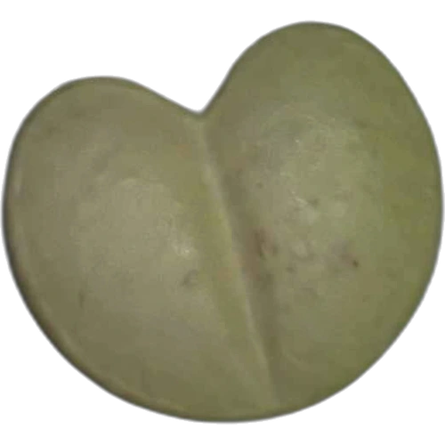 Heart hapı