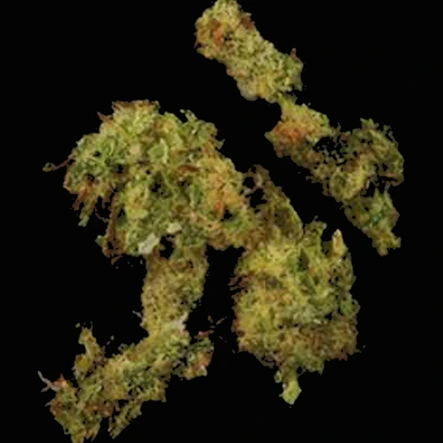 Piolla Crystals