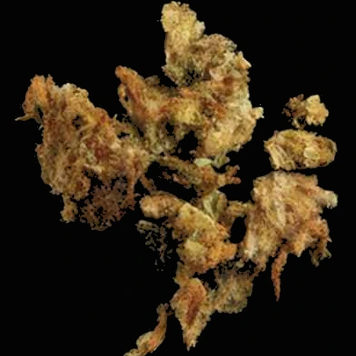 حبّة Crystals