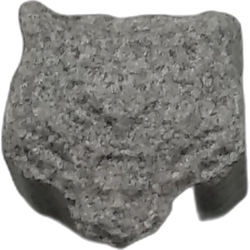 Tiger hapı