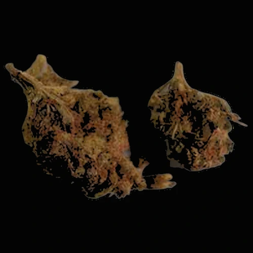 Pillola Crystals